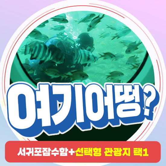 여기어떵? 제주 서귀포잠수함+선택형 관광지 택1