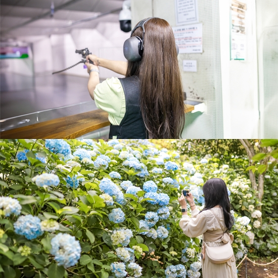 제주실탄사격장+카멜리아힐