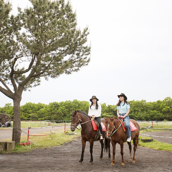 제주 탐라승마장+다이나믹메이즈