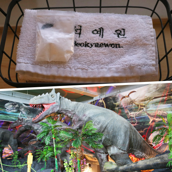 제주 석예원 족욕 택1+공룡동물농장
